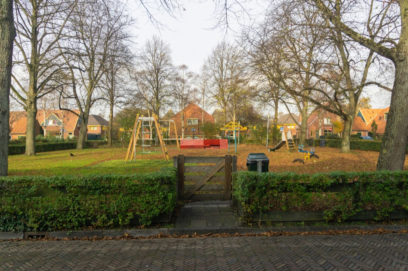 Park-facing home at sunrise