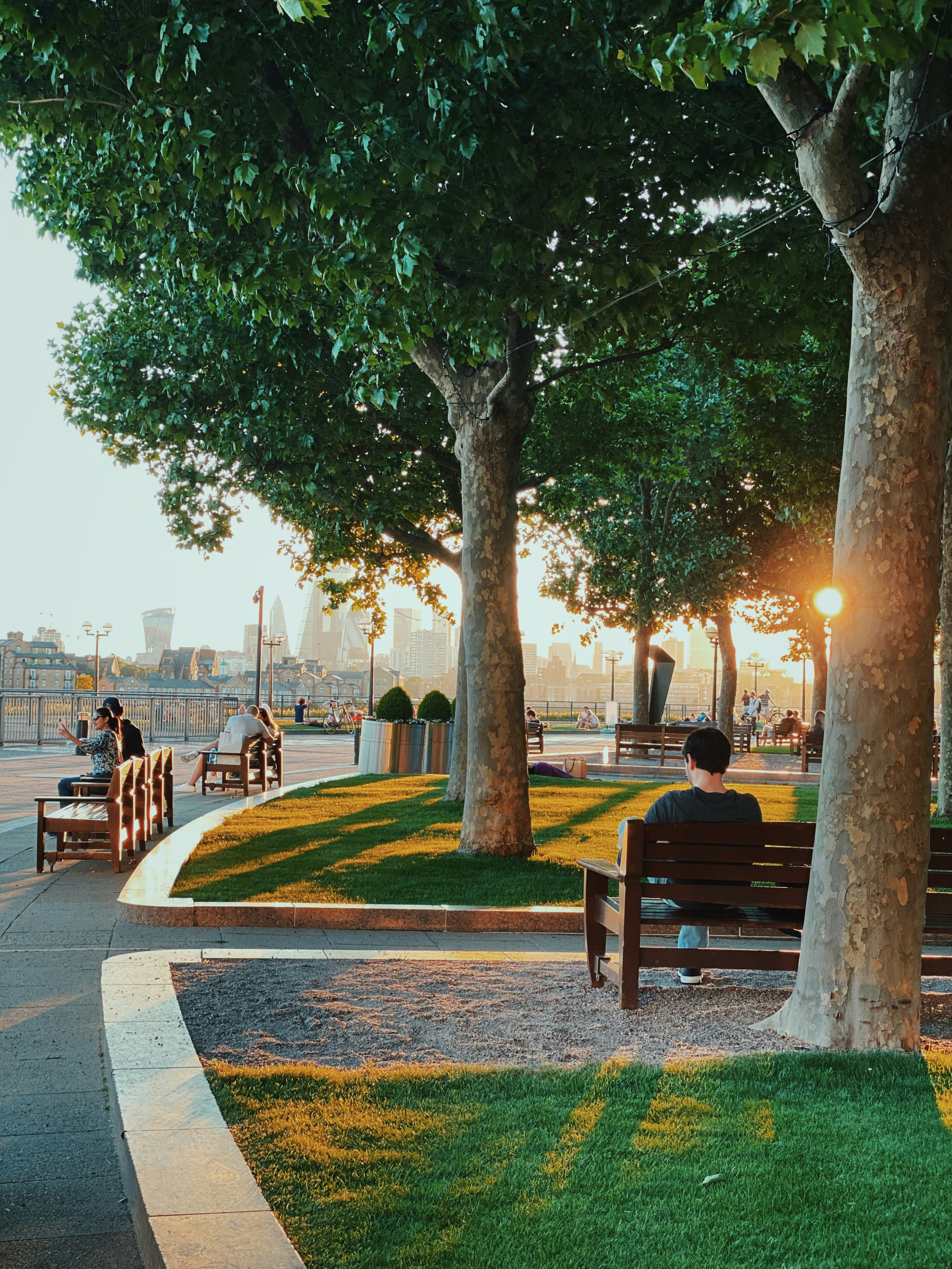 Families in a blossom-filled neighbourhood park